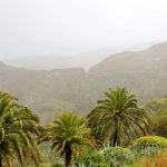 Parc national de Garajonay sous la pluie