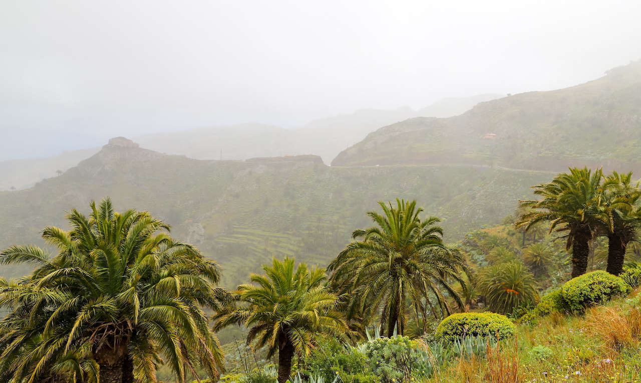 Parc national de Garajonay sous la pluie