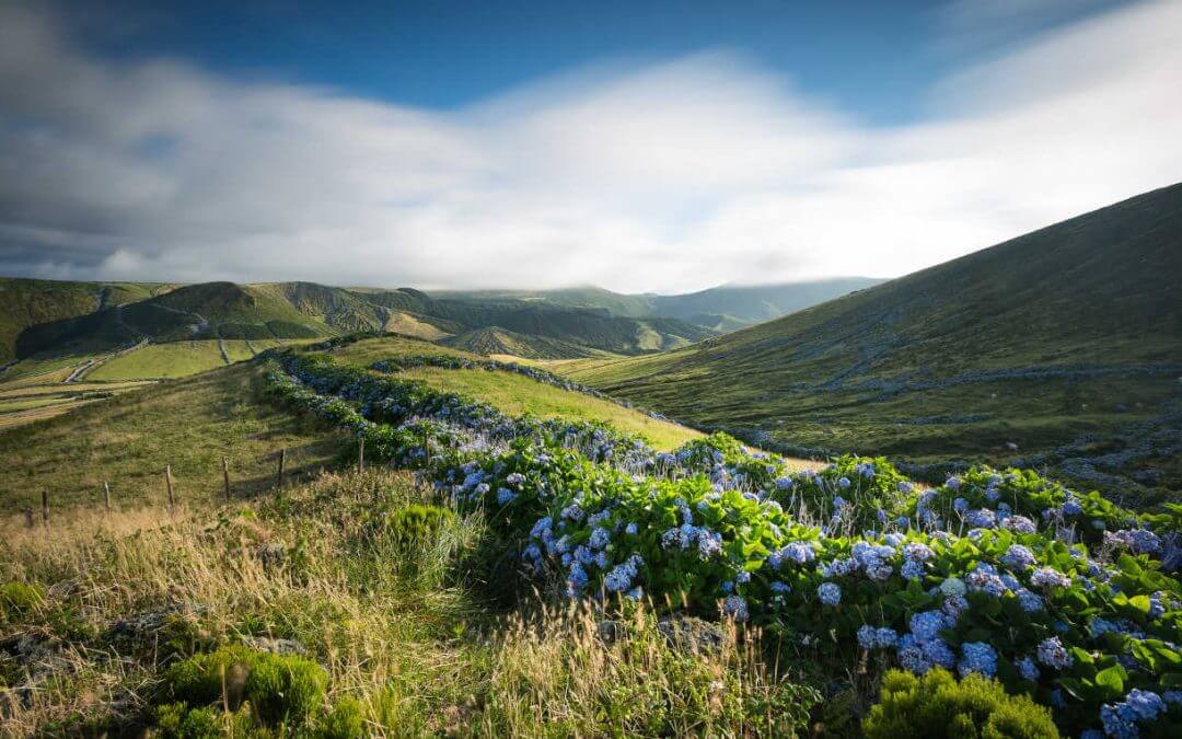 Choisir entre les Canaries et les Açores