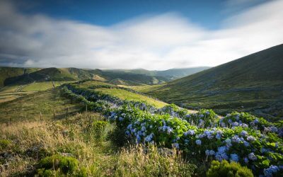 Choisir entre les Canaries et les Açores