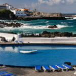 Canaries en automne