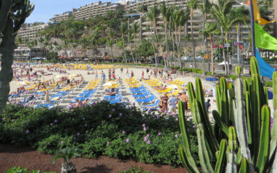 Les Canaries, top destination d’hiver