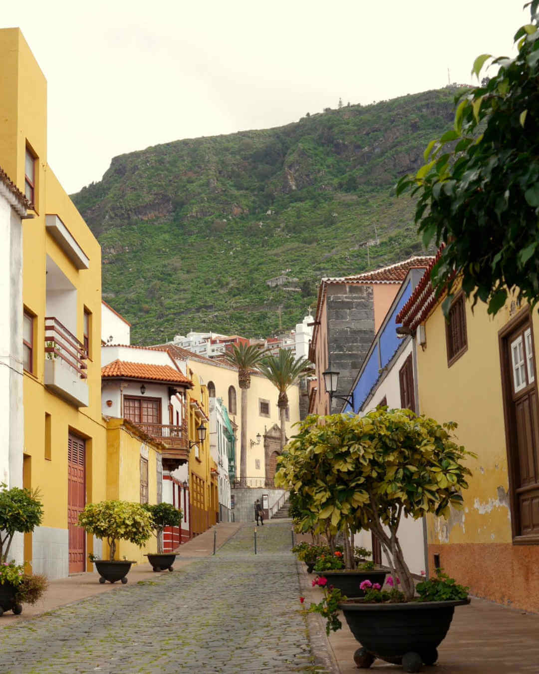 ruelle Garachico