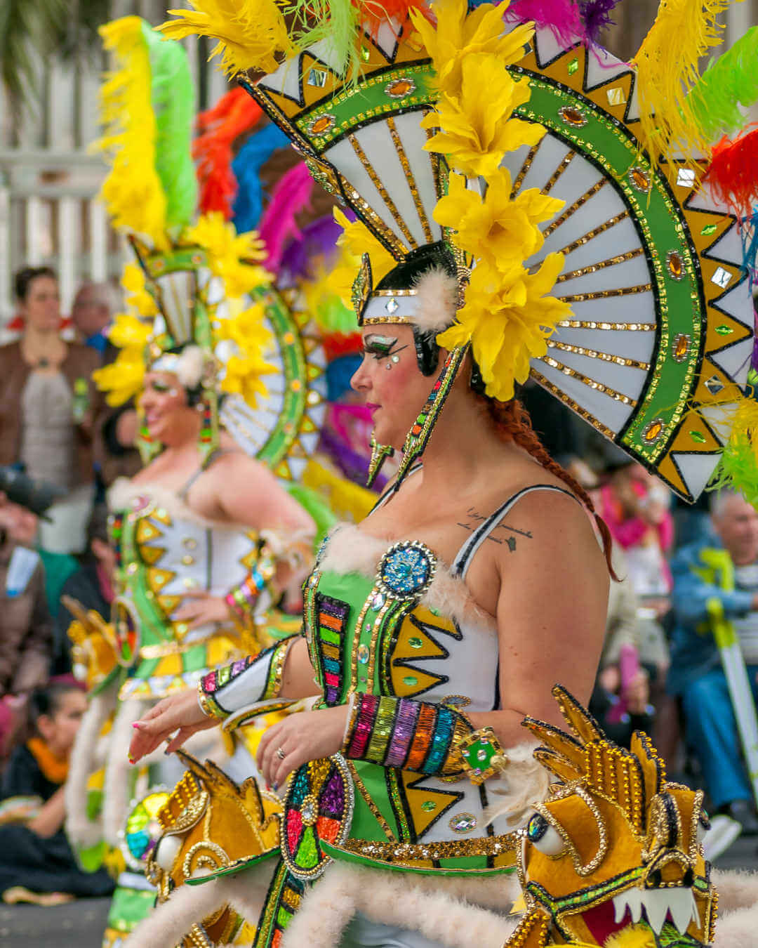 Carnaval de Santa Cruz