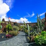 jardin de cactus Manrique Lanzarote