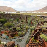 jardin de cactus lanzarote