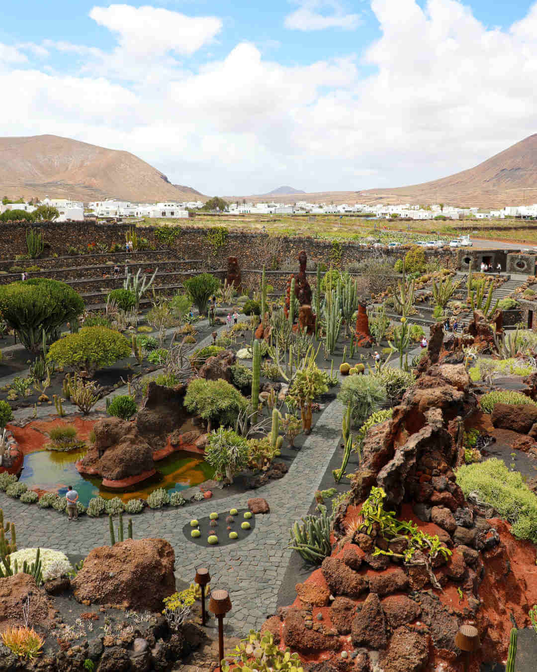 jardin de cactus lanzarote