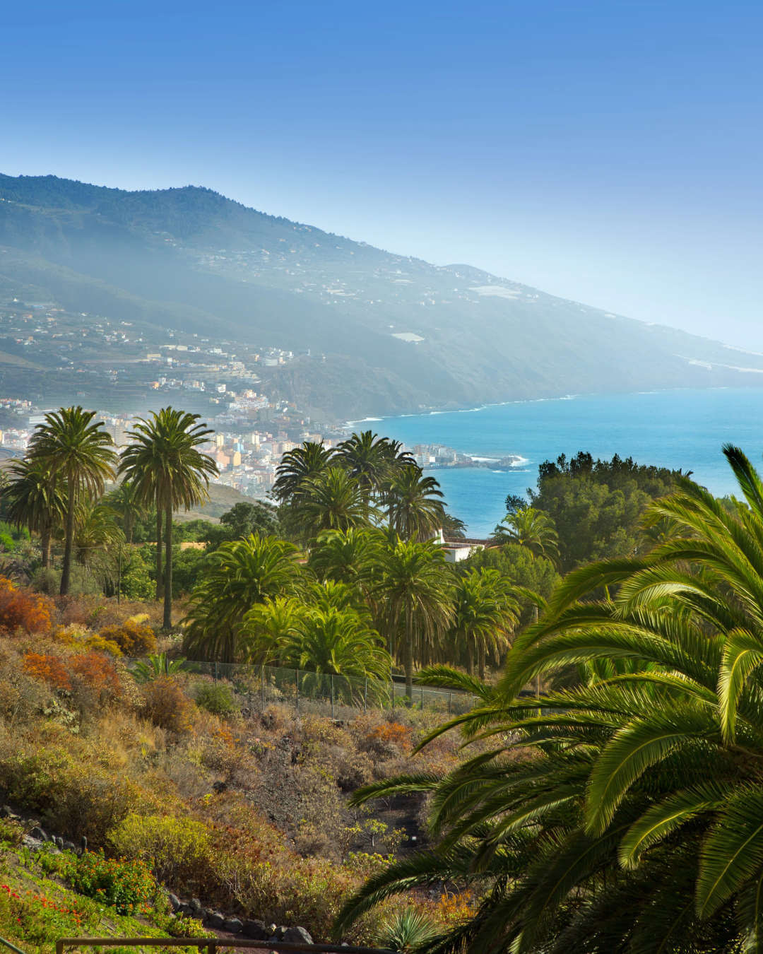 La Palma