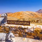 Point de vue sur Fuerteventura avec des sculptures de chèvres