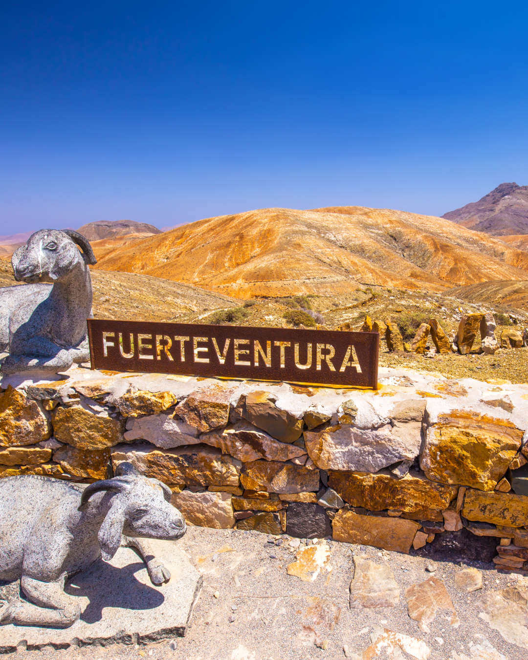 Point de vue sur Fuerteventura avec des sculptures de chèvres