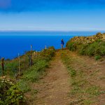 Randonnée sur El Hierro