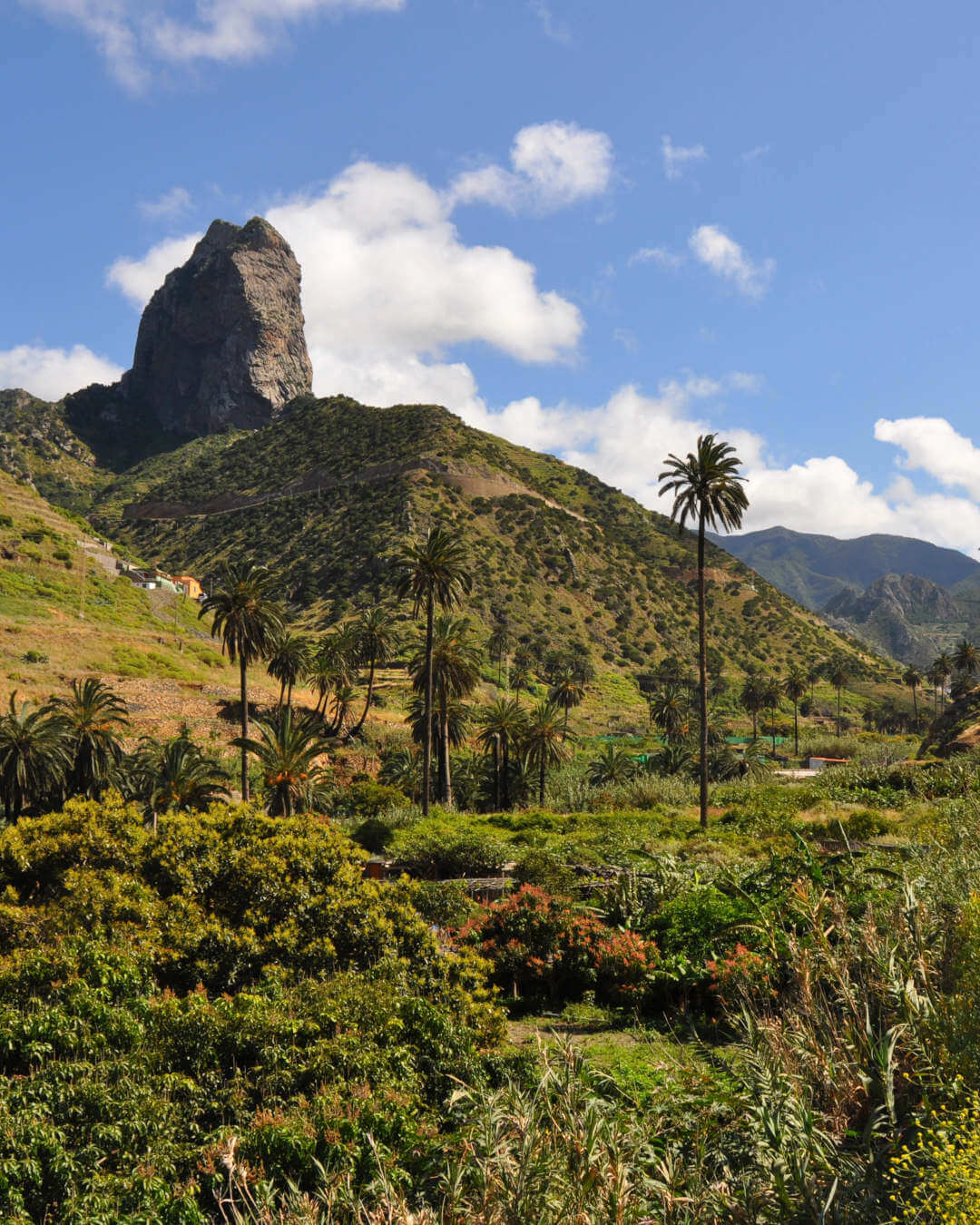 Montage de La Gomera