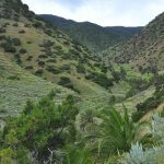 Gran Canaria