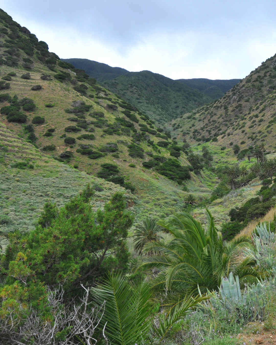 Gran Canaria